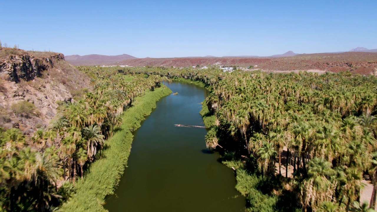 Palm-filled oasis surrounds dark green water with mountains on the horizon.