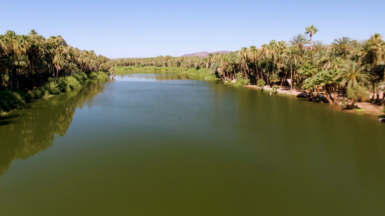 Wide aerial view of a green river bordered by palm trees in San Ignacio, Baja California Sur, with distant hills and no visible people.