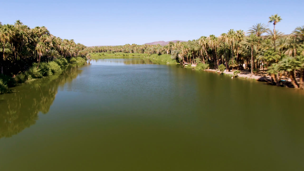 Aerial frame over the San Ignacio river shows palms thick on both sides, green water in front, and a low hill line beneath a clear sky, with no visible people.