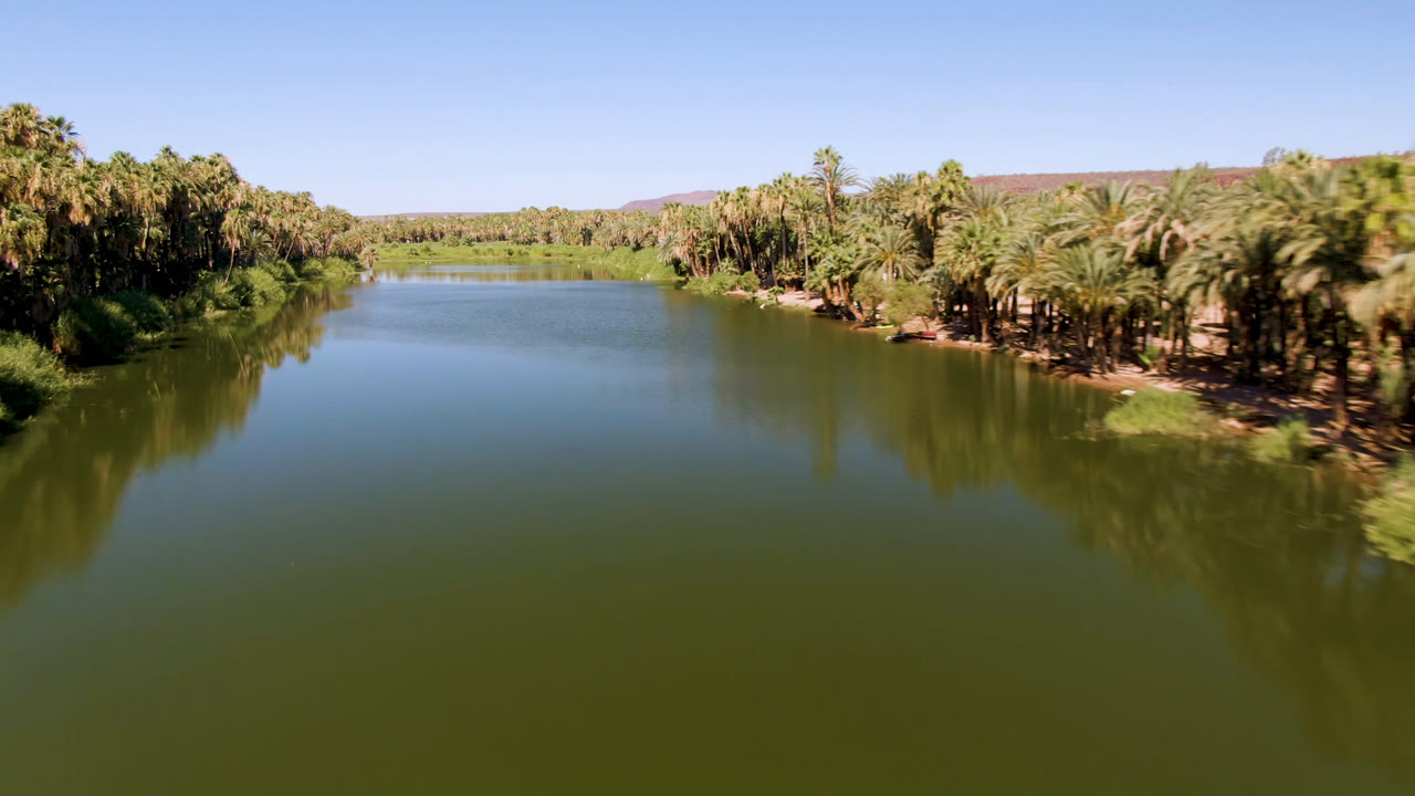 Palm-lined river bend with clear sky and distant hills.
