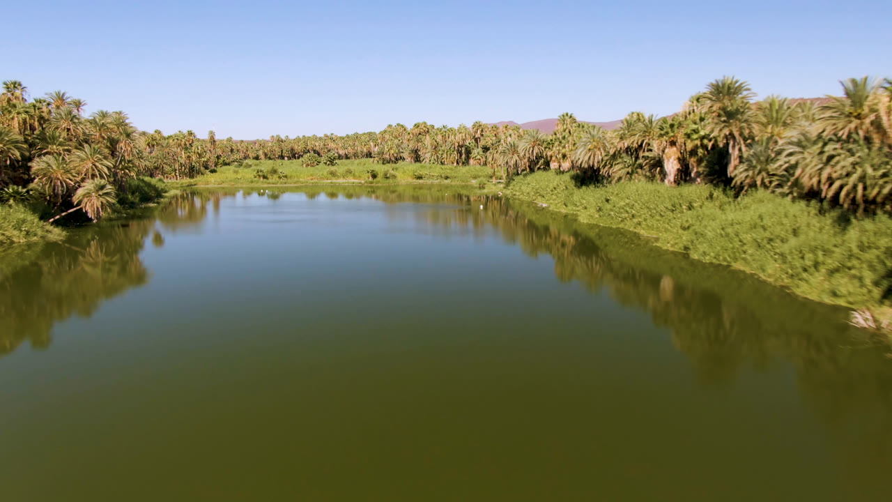 Aerial frame from San Ignacio, Baja California Sur, showing green water in the foreground, a grassy bank, dense palm trees, distant low hills, clear blue sky, and no visible people.