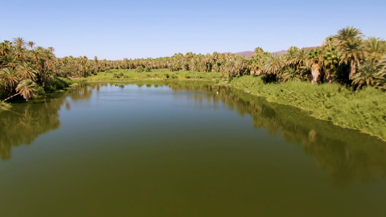 A wide aerial view in San Ignacio, Baja California Sur, looks across still green water toward palm trees, grasses, low hills, blue sky, and no visible people.