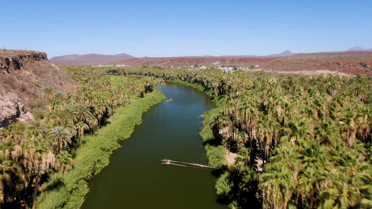 Aerial frame from San Ignacio, Baja California Sur showing a green river bend bordered by dense palms, grassy banks, reddish hills, blue sky, and no visible people.