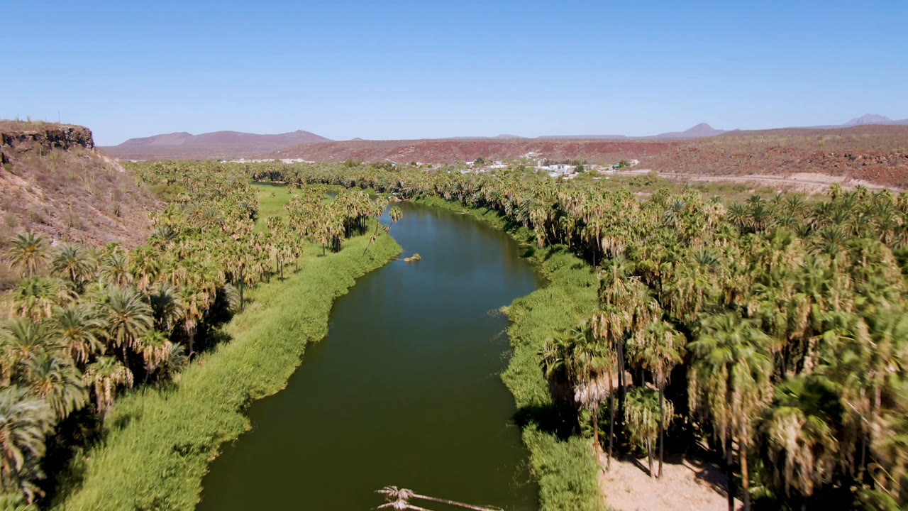 River bend cutting through palms with desert ridges in the background.