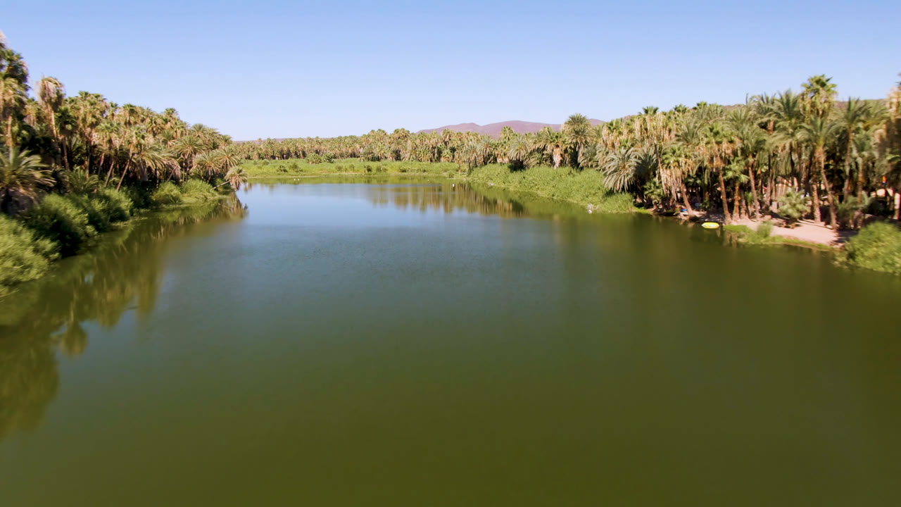 Opening frame of a green river in San Ignacio, Baja California Sur, with dense palms on both banks, distant low hills, and no visible people.