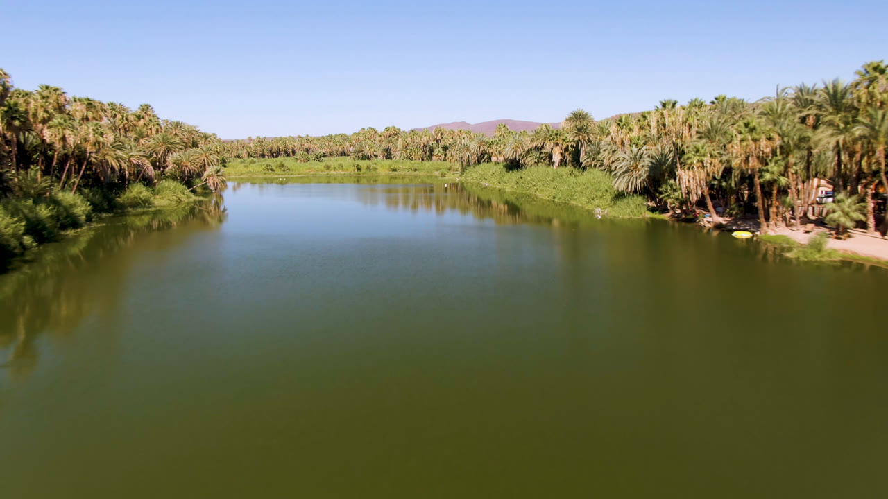 Second frame of the San Ignacio river view, showing more open green water in the foreground, palms along the right bank, low hills beyond, and no visible people.