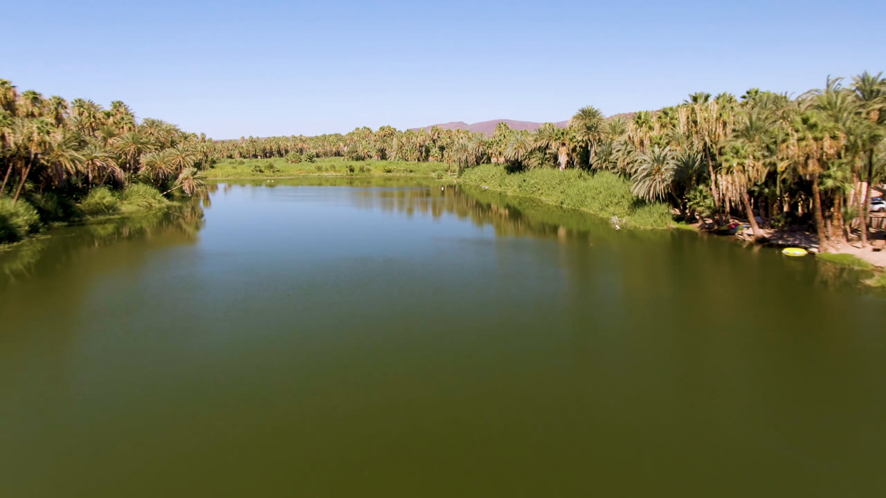 Calm river bend with palms and grassy shoreline