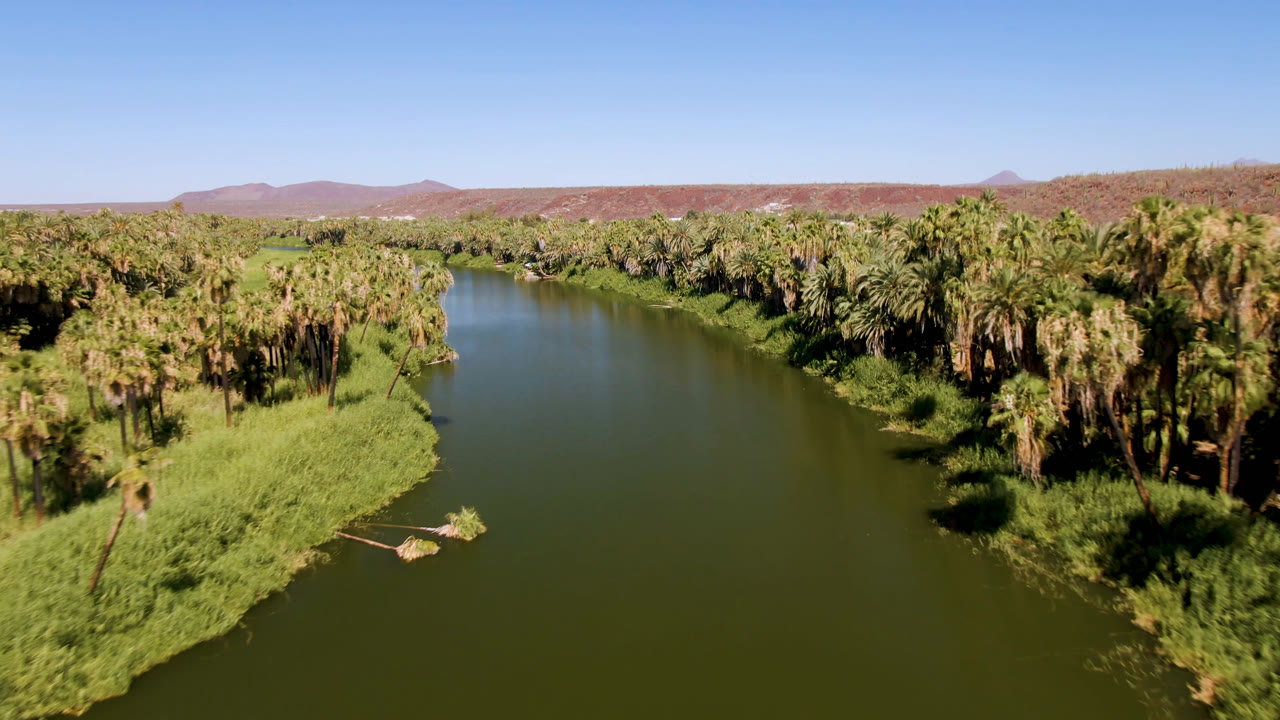 A slightly later aerial frame in San Ignacio shows the river bending between dense palm growth, with bright grass at the banks, reddish hills on the horizon, and no visible people.