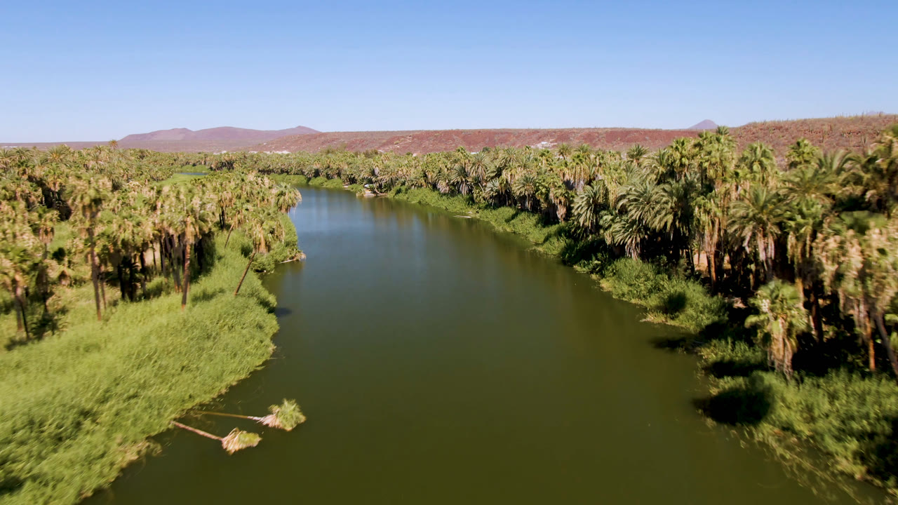 Wide aerial view of river water, palms, grasses, and distant hills.