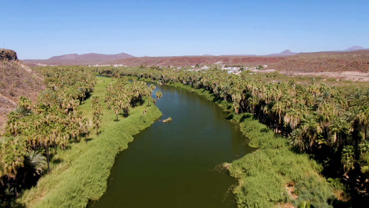 Aerial frame over San Ignacio, Baja California Sur, Mexico, showing a green river bending past dense palms, bright grass, reddish hills, and no visible people.