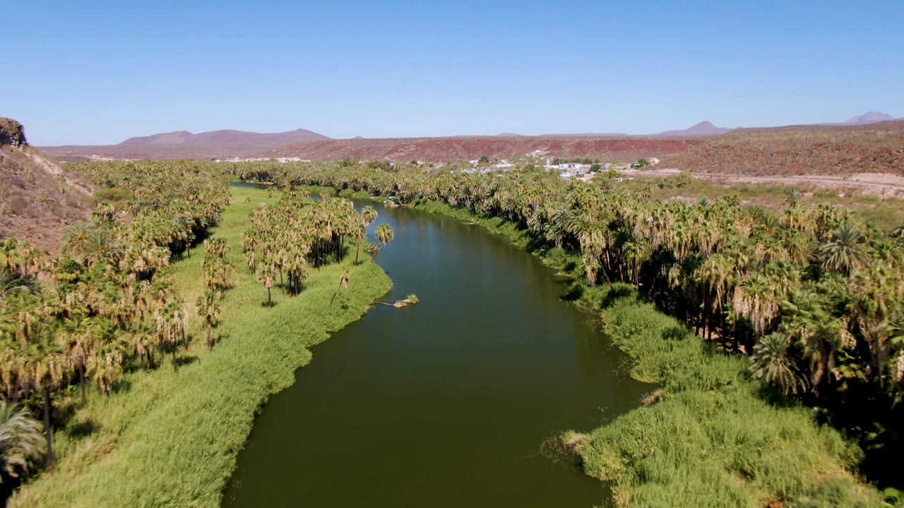 Aerial view in San Ignacio with the river centered between thick palm growth, sunlit grass margins, distant low buildings, and no visible people.
