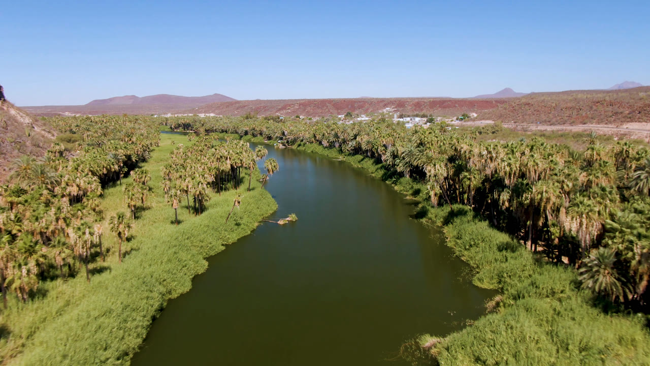 Palm-lined river valley with green water, grass, and red-brown hills.