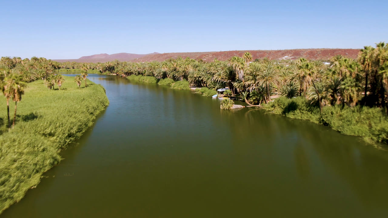 Wide aerial frame over a green river in San Ignacio, Baja California Sur, Mexico, with tall grass on both banks, palm trees to the right, reddish hills in the distance, and no visible people.