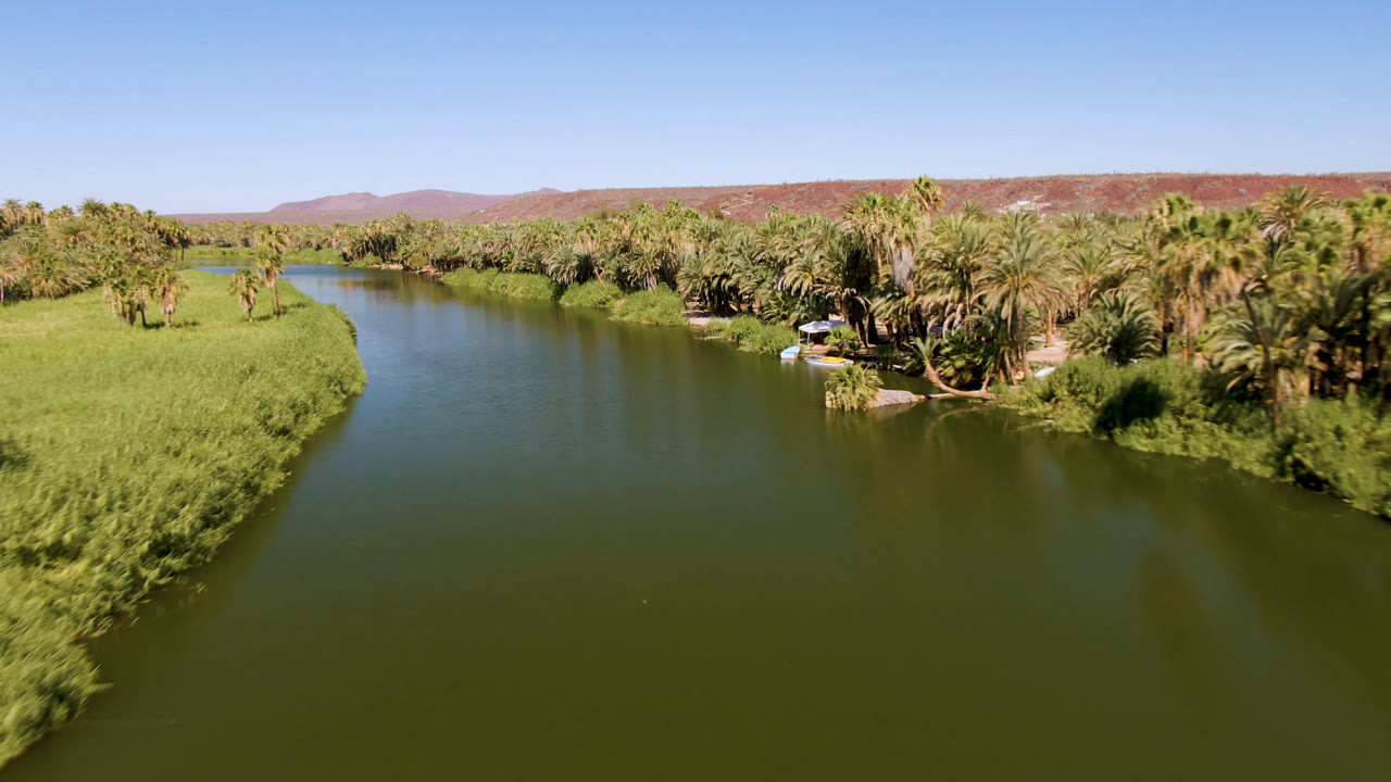Aerial view in San Ignacio, Baja California Sur, Mexico, looking down a green river toward palm groves, with small boats near the right bank and no visible people.