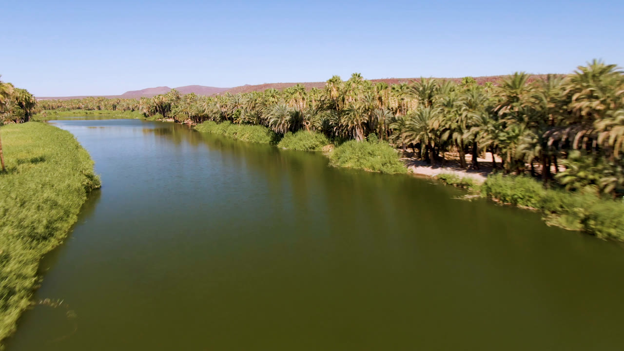 Wide aerial frame of the San Ignacio river channel, with smooth green water between grassy banks, a dense palm grove on the right, distant hills, and no visible people.