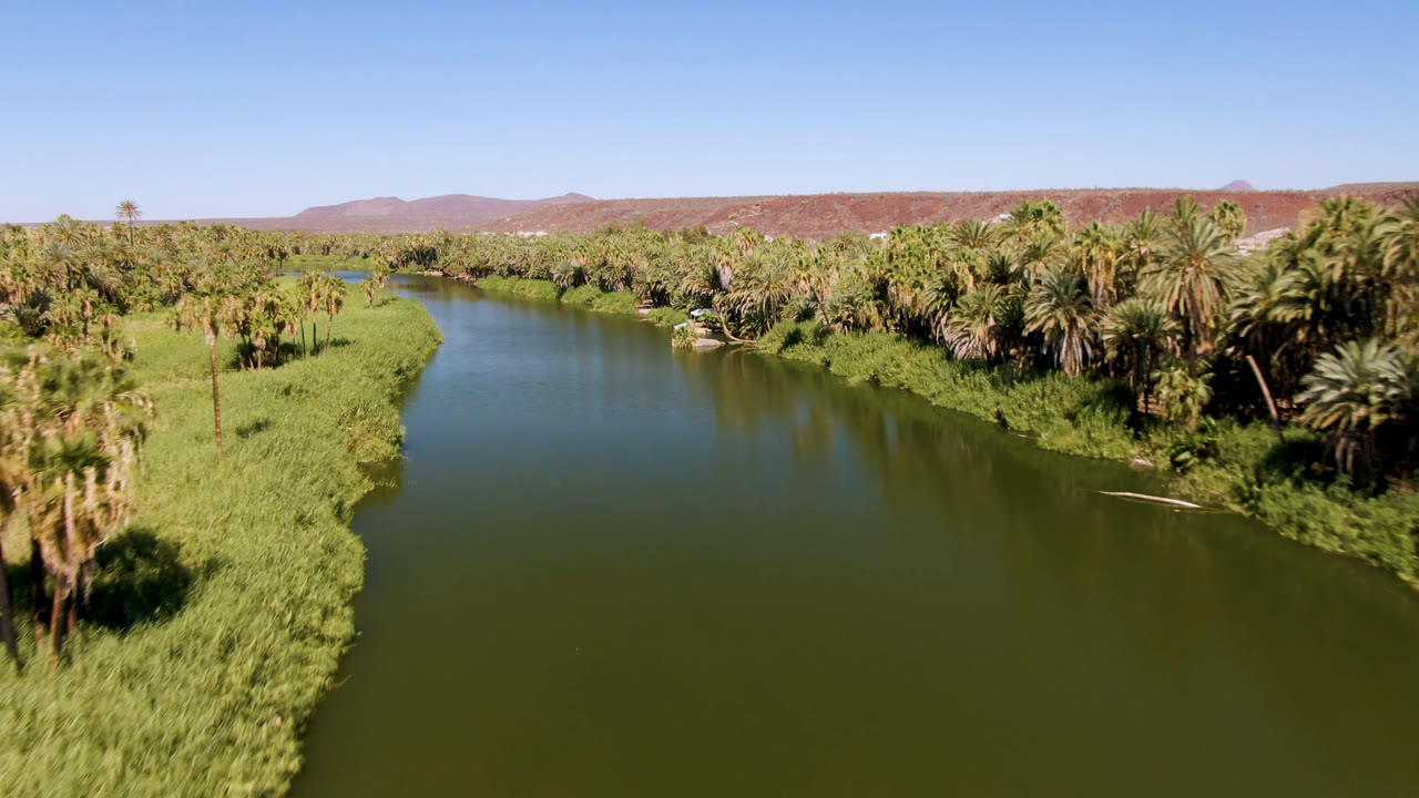 Aerial view in San Ignacio, Baja California Sur, Mexico, showing a green river curving between palms and grasses with reddish hills in the distance and no visible people.