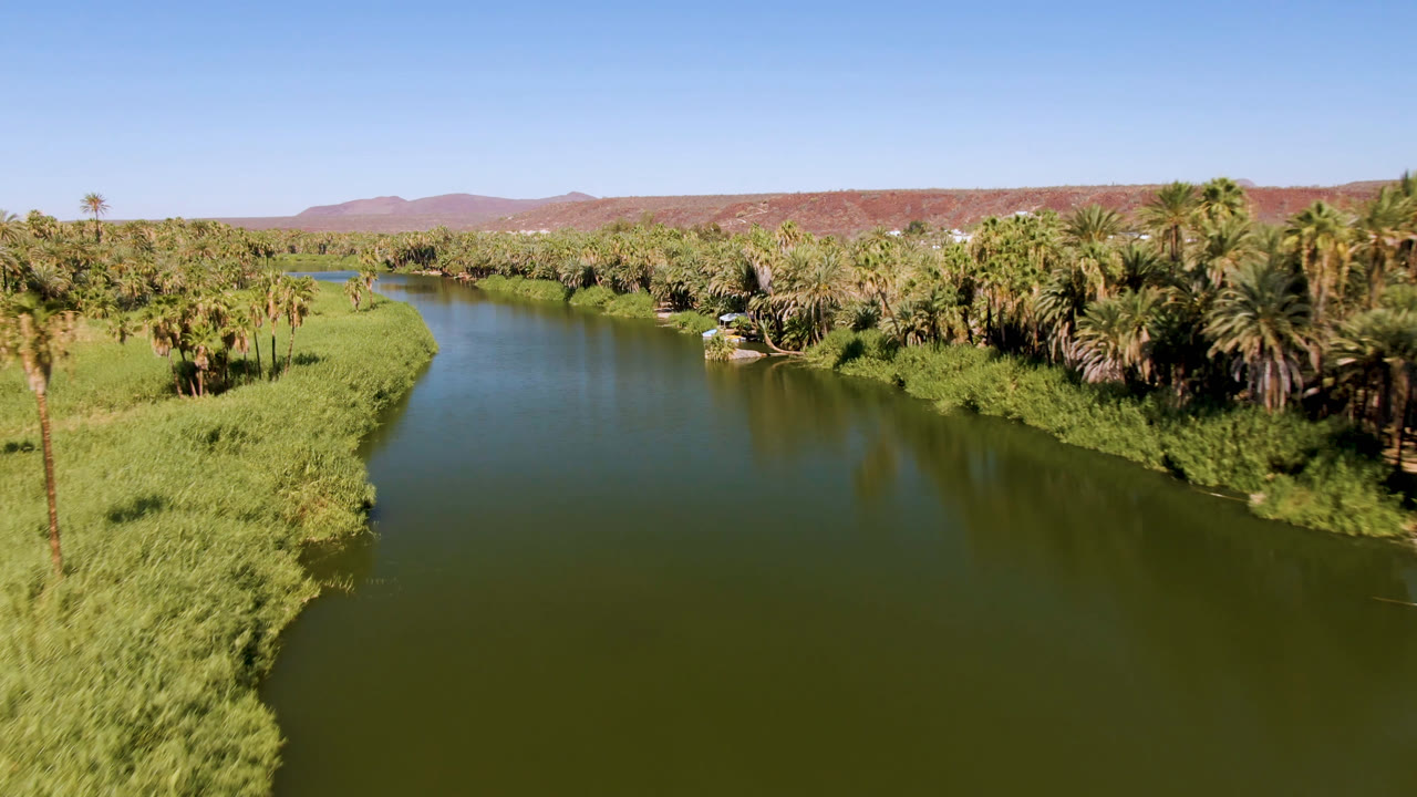 Palm-lined river bend with open green water and desert hills beyond.