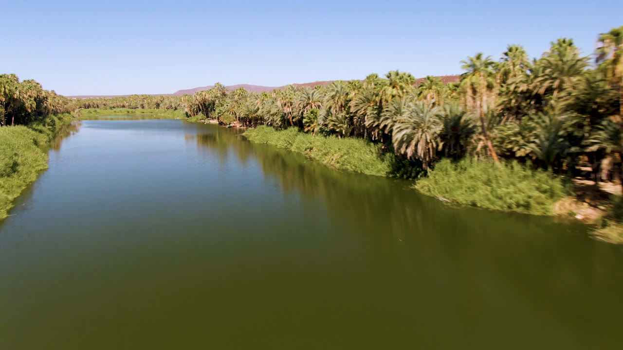 Wide elevated view over green river water and palm-lined banks in San Ignacio, Baja California Sur, with low hills beyond and no visible people.