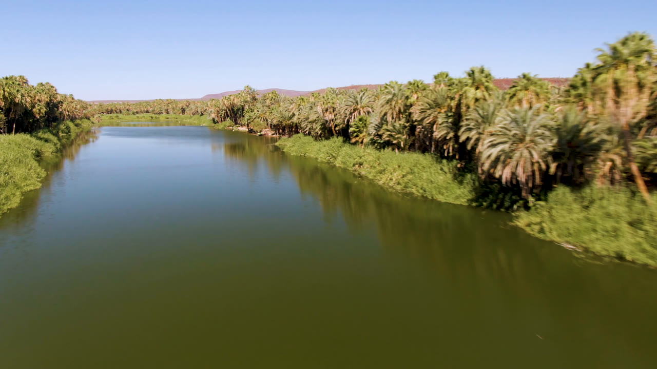 Elevated San Ignacio river view with open water in the foreground, dense palms on the right bank, lower greenery on the left, and no visible people.