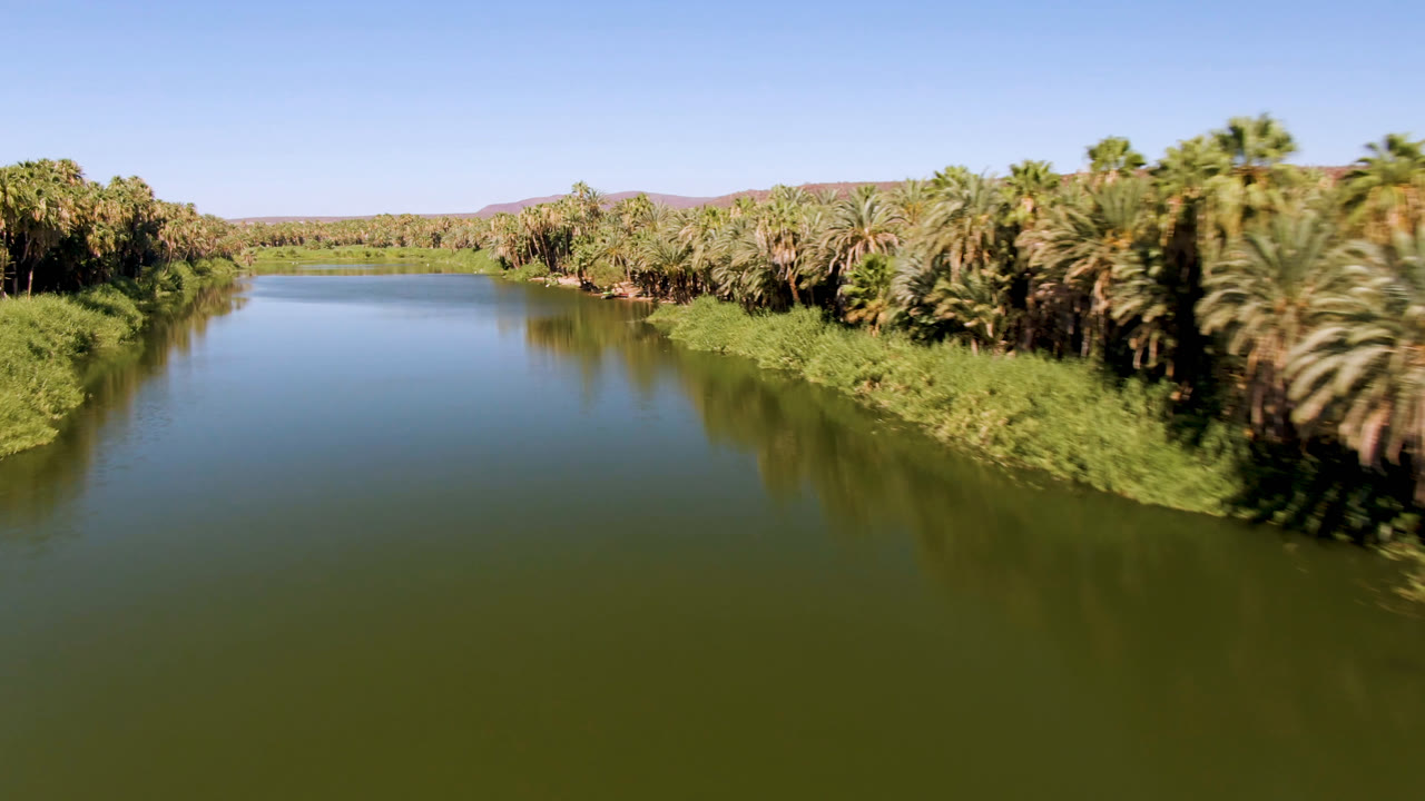 River bend bordered by palms and desert hills