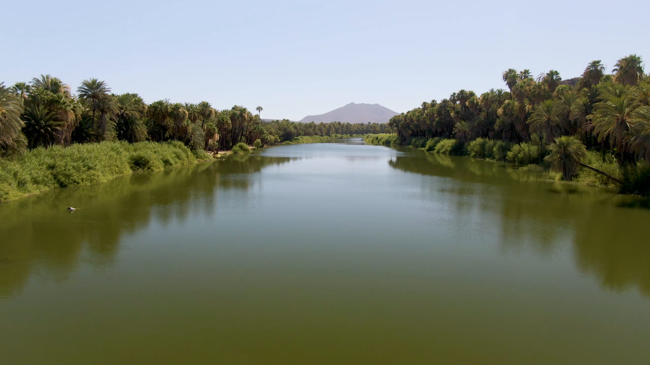 Opening frame of a wide green river in San Ignacio, Baja California Sur, with palm-lined banks, distant low mountains, clear blue sky, and no visible people.
