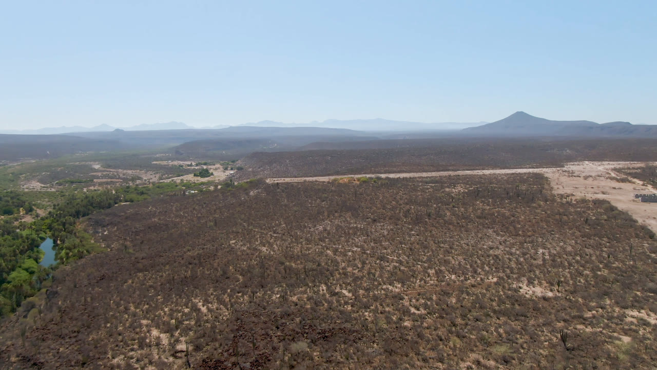Wide aerial frame over San Ignacio, Baja California Sur, with scrub desert in front, a pale dirt road across the midground, green vegetation along water at left, distant mountains, and no visible people.