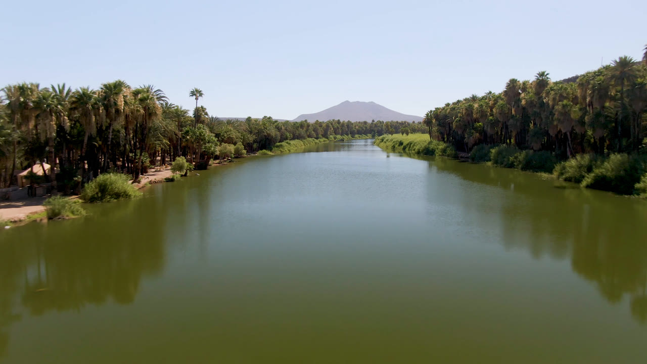 Wide aerial view in San Ignacio, Baja California Sur, with green river water between palm-lined banks, a distant mountain on the horizon, and no visible people.