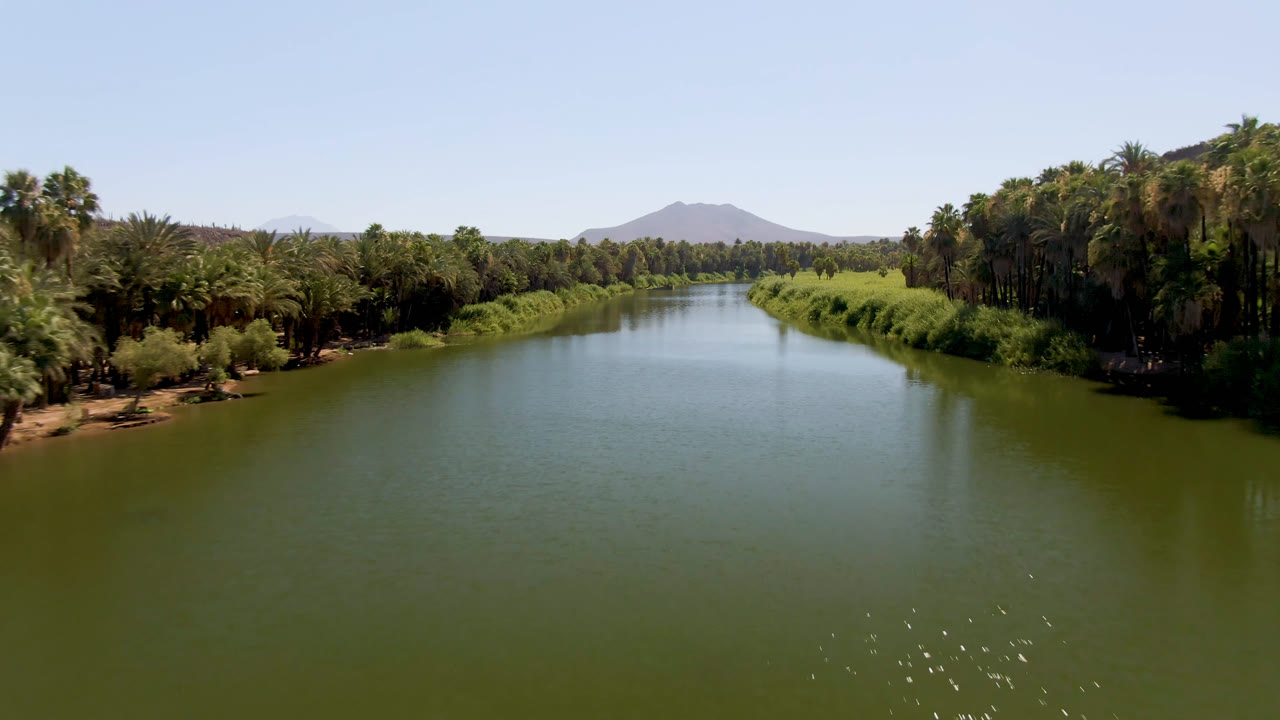 Opening frame of a broad green river in San Ignacio, Baja California Sur, with palm-lined banks, a distant mountain, clear blue sky, and no visible people.