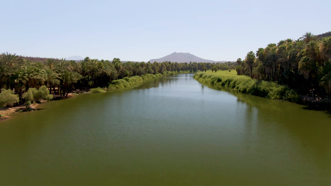 Second frame shows the San Ignacio river channel centered between dense green banks and palm groves, with the distant mountain still visible and no visible people.