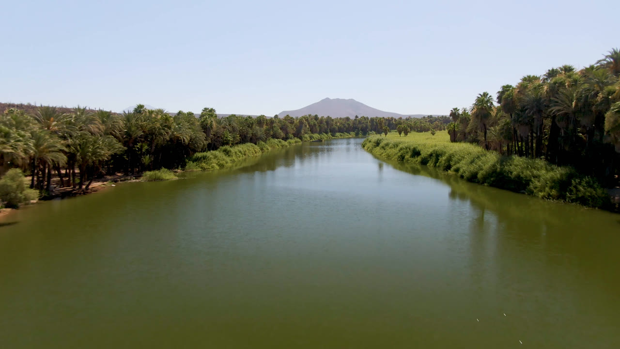 Calm river with bright water reflections, palm trees, and a distant mountain.