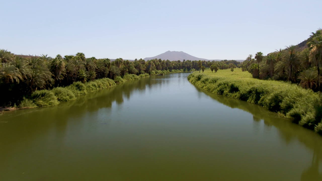 Elevated view of a green river in San Ignacio, Baja California Sur, with palms along both banks, a grassy right bank, distant low mountains, and no visible people.