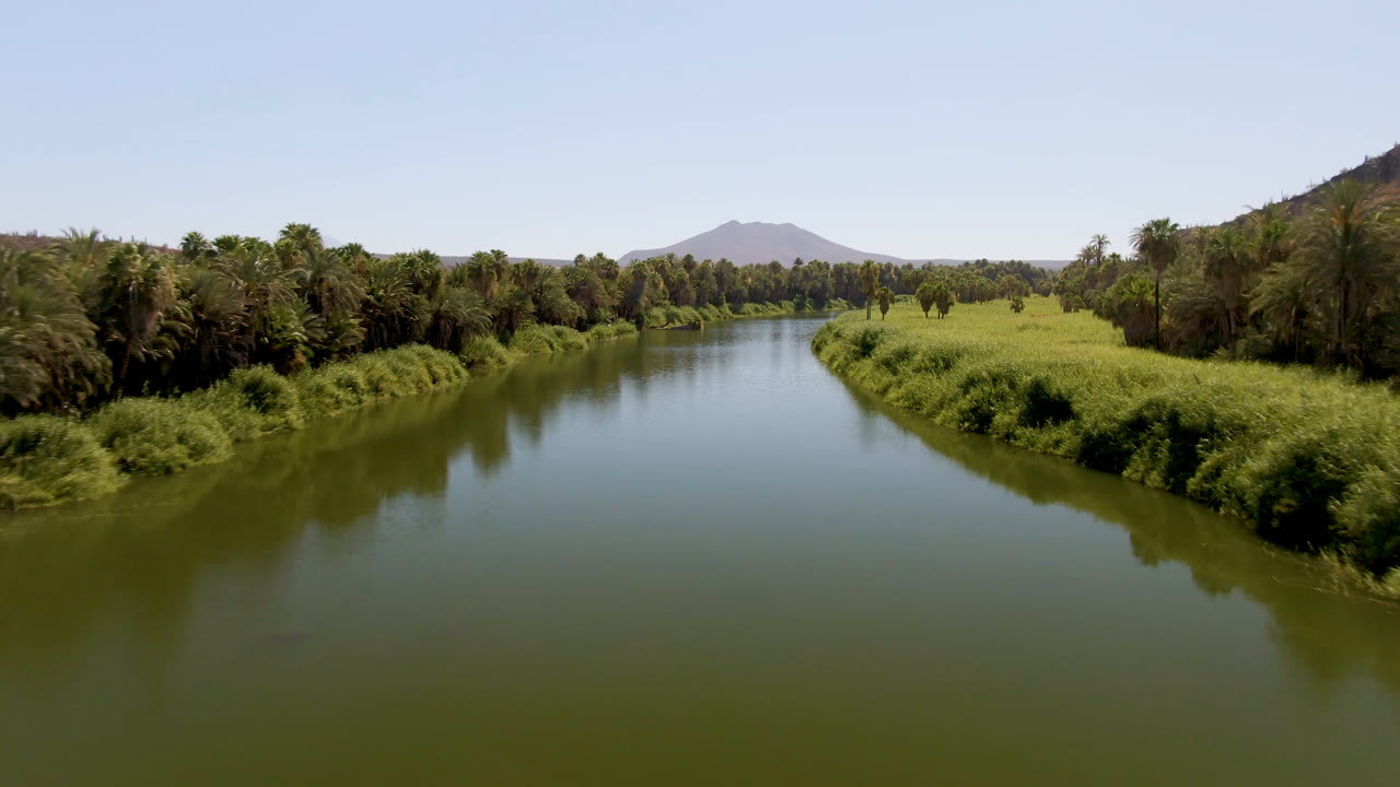 Wide elevated frame of the San Ignacio river with green water in the foreground, palms and trees across the banks, a bright grassy area to the right, and no visible people.