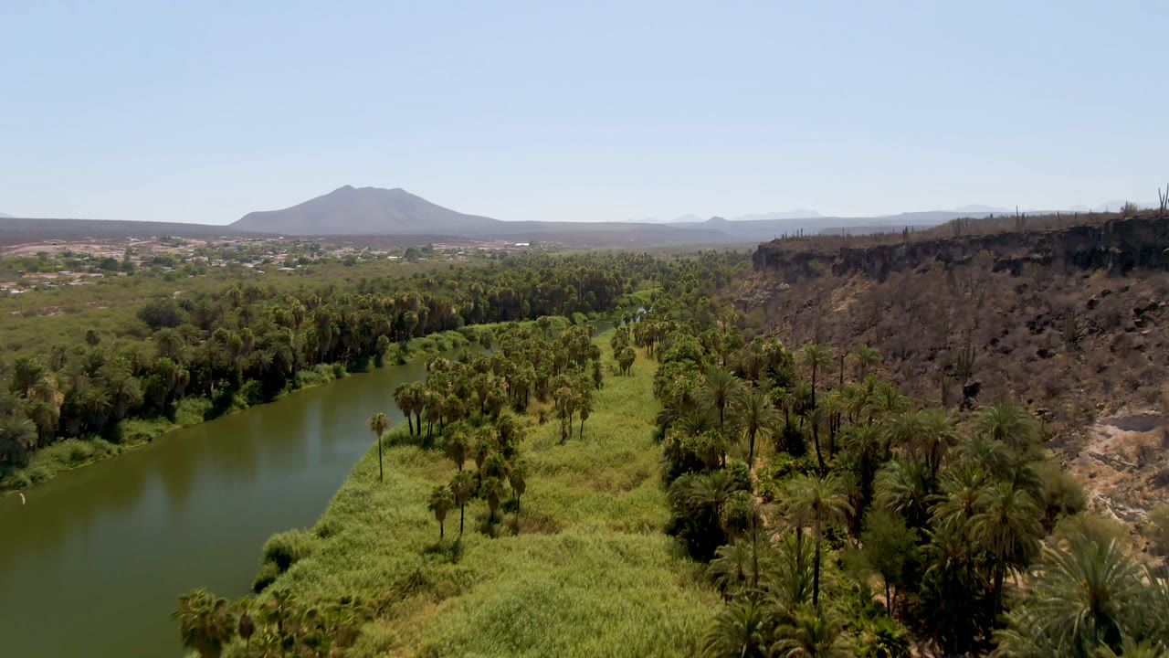 Aerial view of green river beside palm forest and rocky bluff