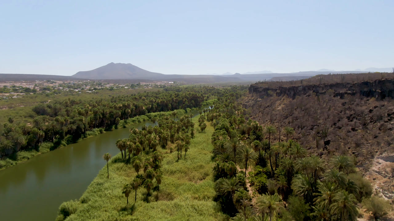 High aerial frame in San Ignacio, Baja California Sur, showing the river curving through palms, a sunlit grassy strip, a rocky escarpment, distant town structures, mountains, and no visible people.