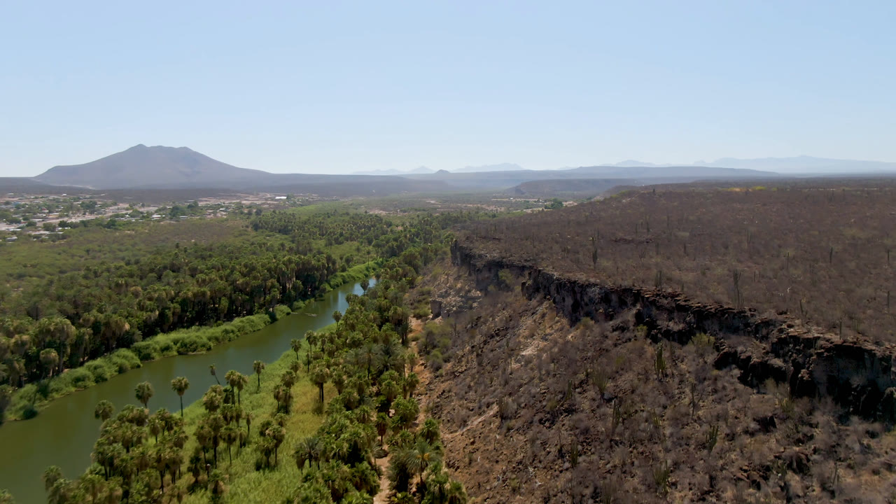 Wide aerial frame in San Ignacio, Baja California Sur, showing the river tucked between green trees and a dark escarpment with mountains across the clear horizon and no visible people.