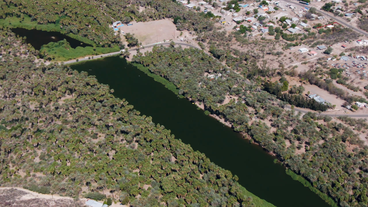 Aerial view of a dark river bordered by palms and dry scrub with roads and buildings beyond.