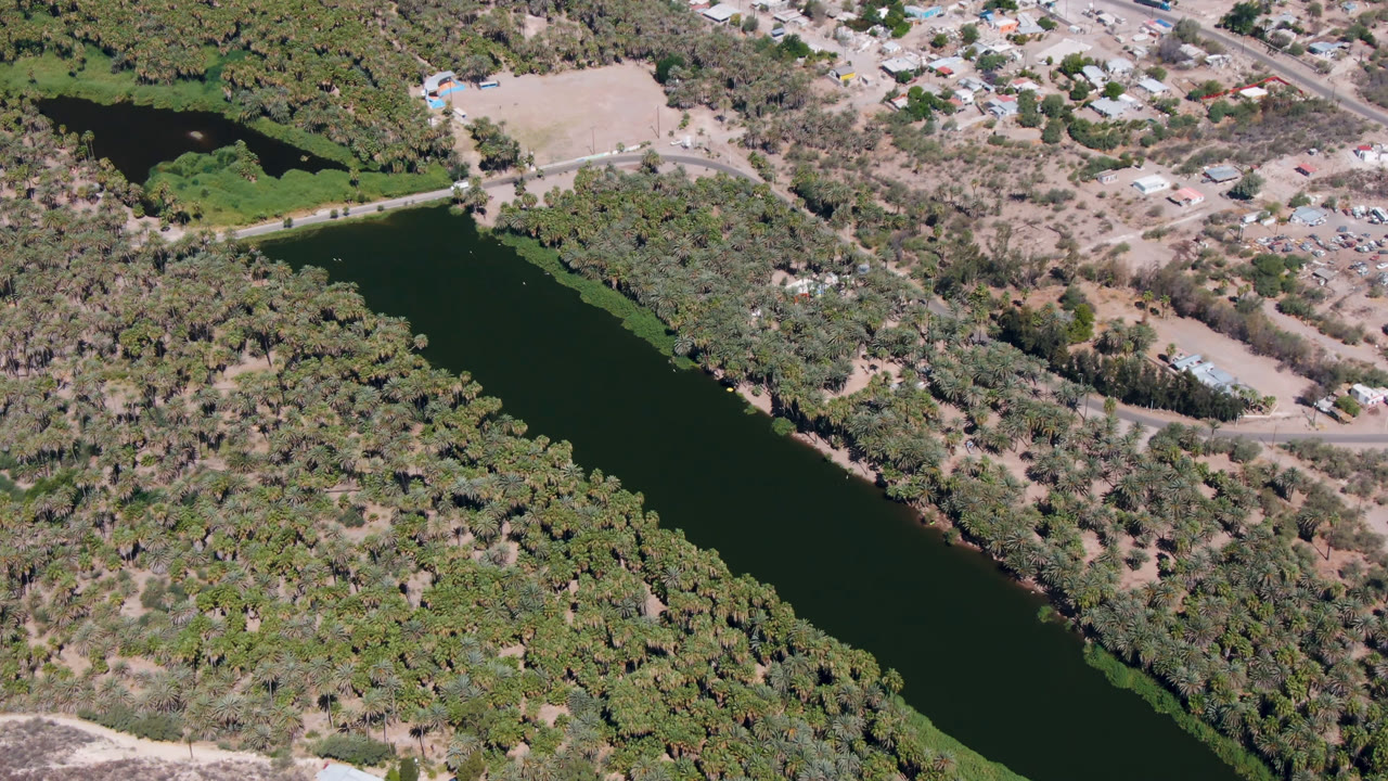 Second aerial frame in San Ignacio, Baja California Sur with the river still diagonal across the lower frame, palms along both banks, dry lots and roads above, and no visible people.
