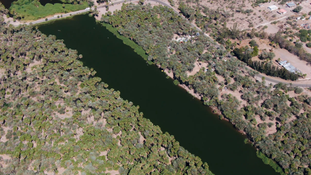 Aerial frame in San Ignacio, Baja California Sur, showing the dark river along a green tree line with a pale road and scattered structures on dry ground, with no visible people.