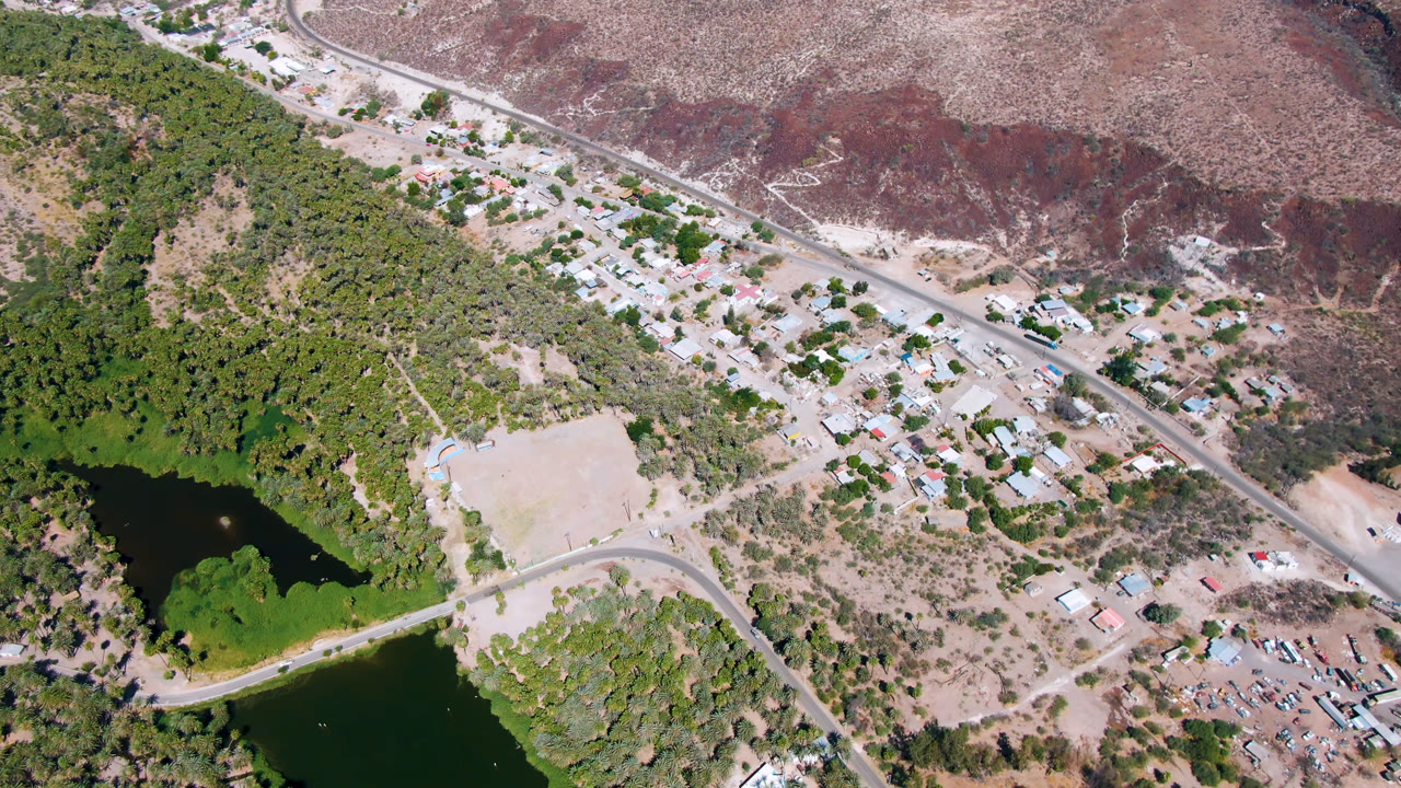 Overhead drone frame in San Ignacio with the dark water shifted left, a pale road curving through palms, scattered buildings, open lots, reddish scrubland, and no visible people.
