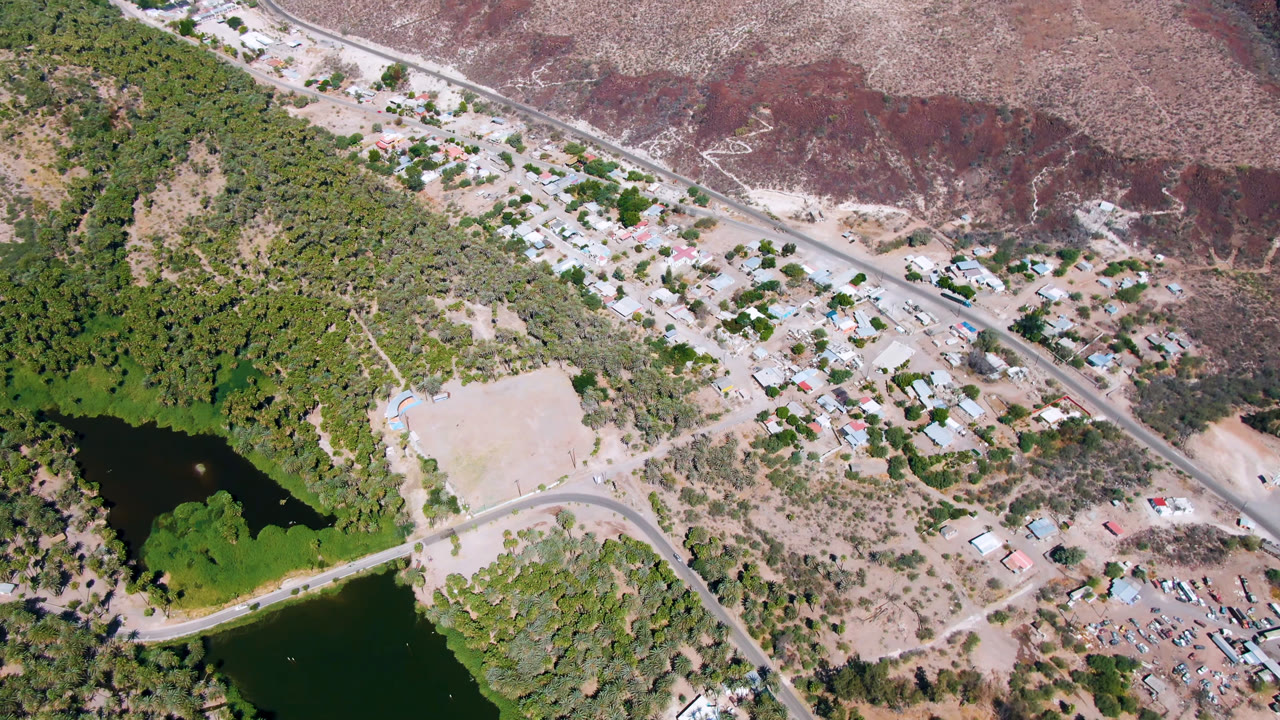 High aerial view of palms, water, homes, and reddish desert terrain.