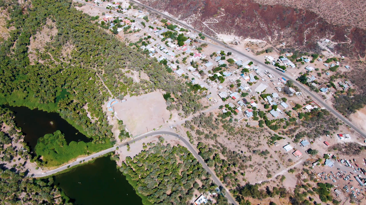 Overhead view of water, palms, road, open ground, and scattered buildings.