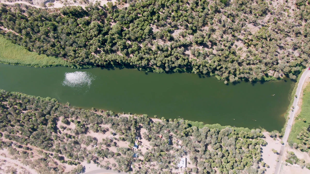 Overhead frame from San Ignacio, Baja California Sur, Mexico showing a green river between scrubby trees, pale roads, and grassy banks, with no visible people.