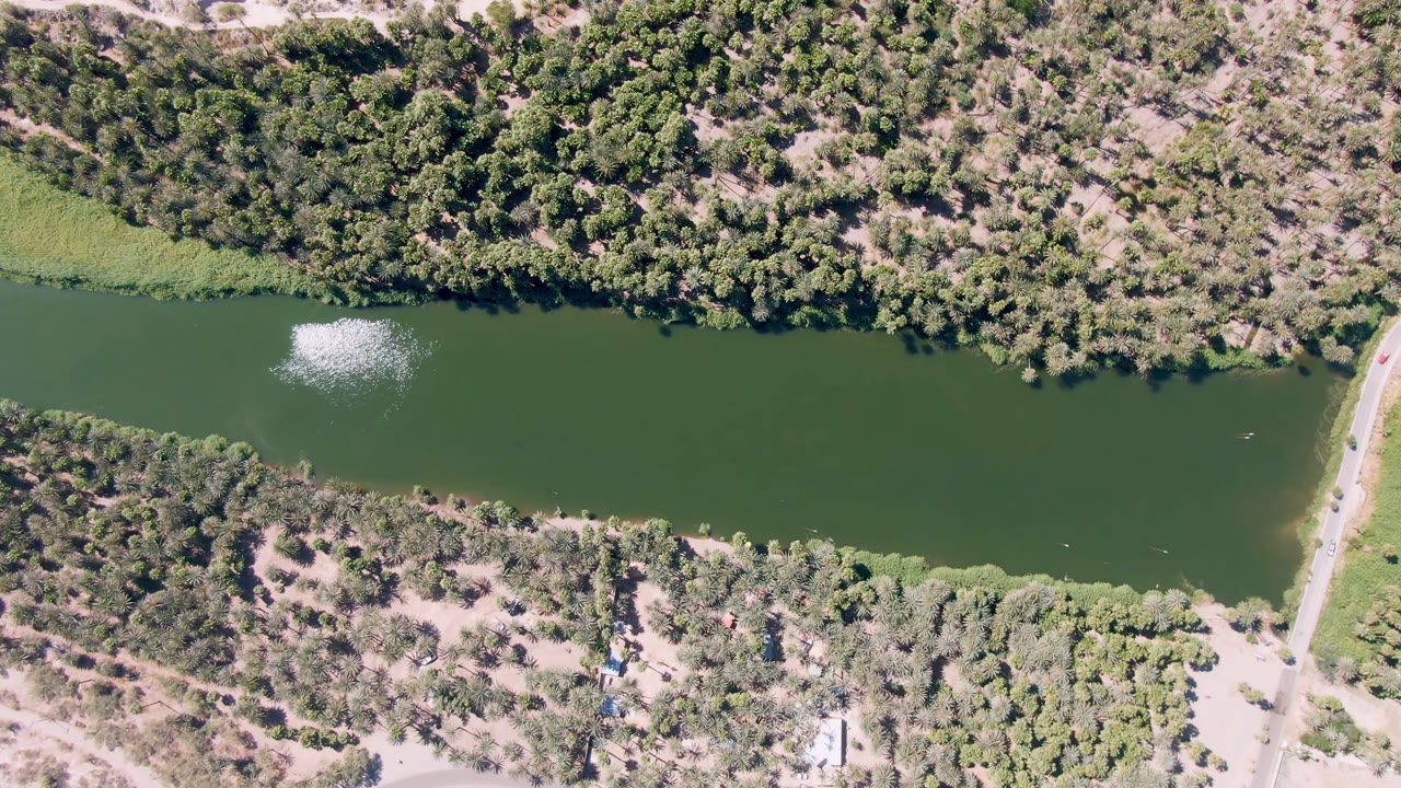 Top-down view of a river with sun glare on the water and brush on both banks.