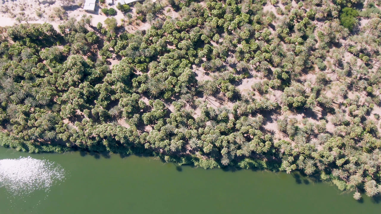 Overhead San Ignacio frame with a narrow green river band at the bottom, a bright reflection near the left side of the water, dense palm canopy above it, and no visible people.