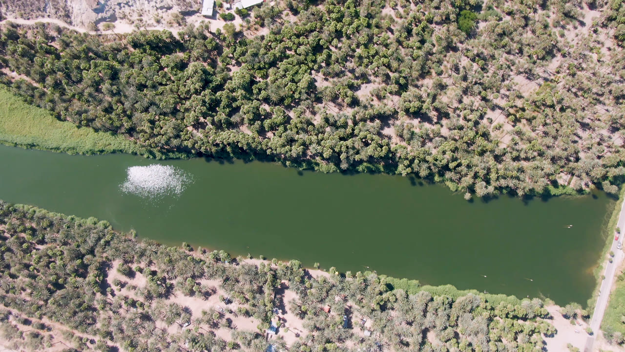 Overhead view of a green river in San Ignacio, Baja California Sur, Mexico, bordered by dense trees, pale scrubland, grassy banks, and no visible people.