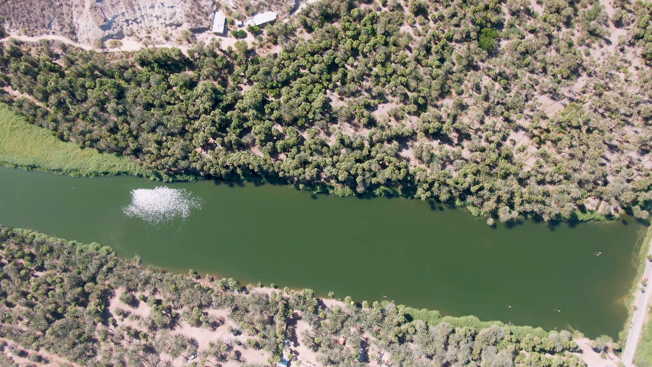 Aerial frame over the San Ignacio river showing a narrow crossing or ramp reaching the water, thick shoreline trees, sun glare on green water, and no visible people.