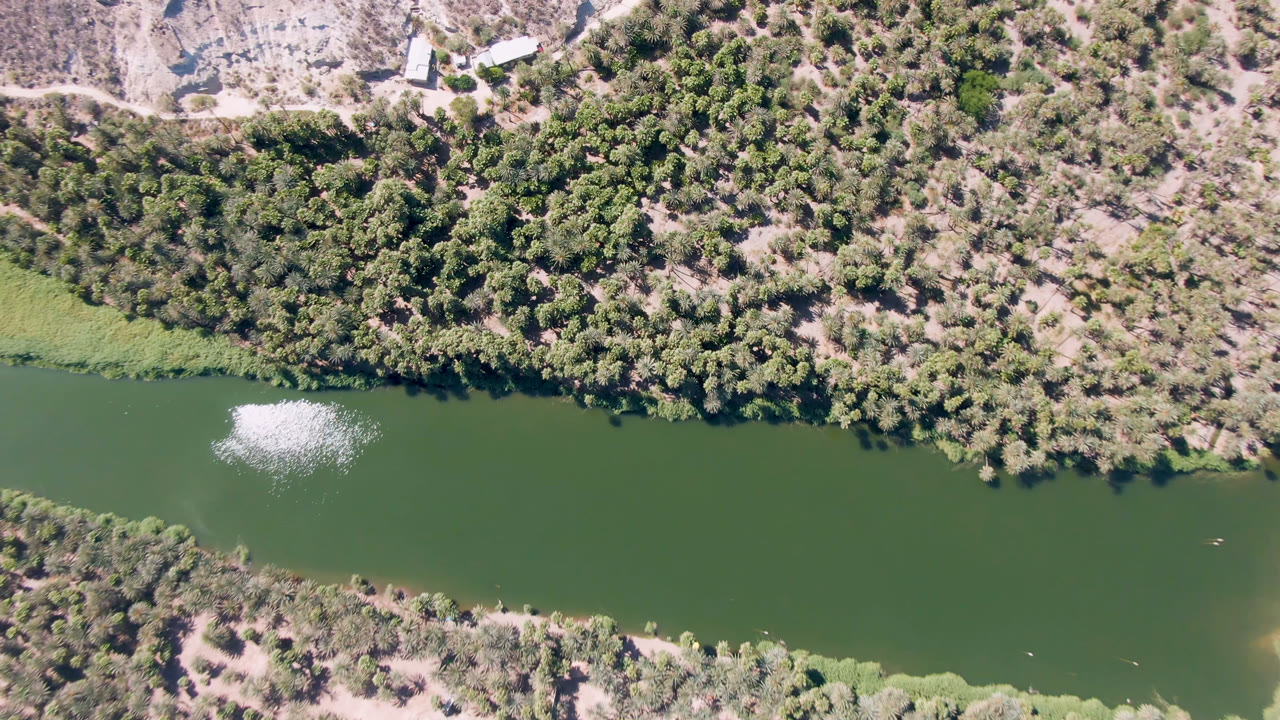 Drone view of green river and tree-lined banks