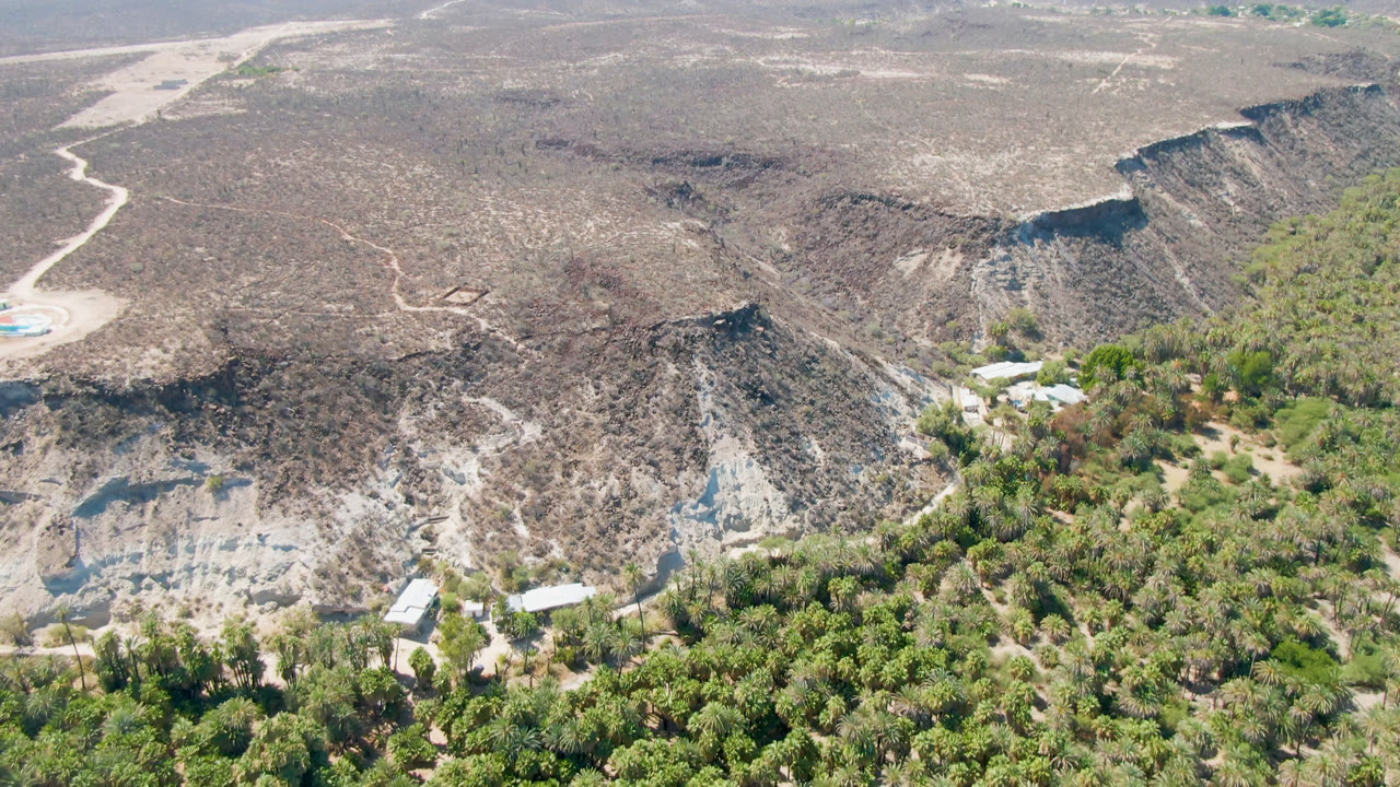 Aerial view of palms below dry hills and a pale road.