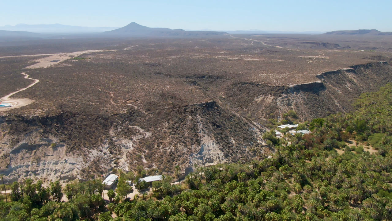 Aerial frame from San Ignacio, Baja California Sur showing foreground palm groves, a cliff-lined desert valley, distant mountains, clear sky, and no visible people.