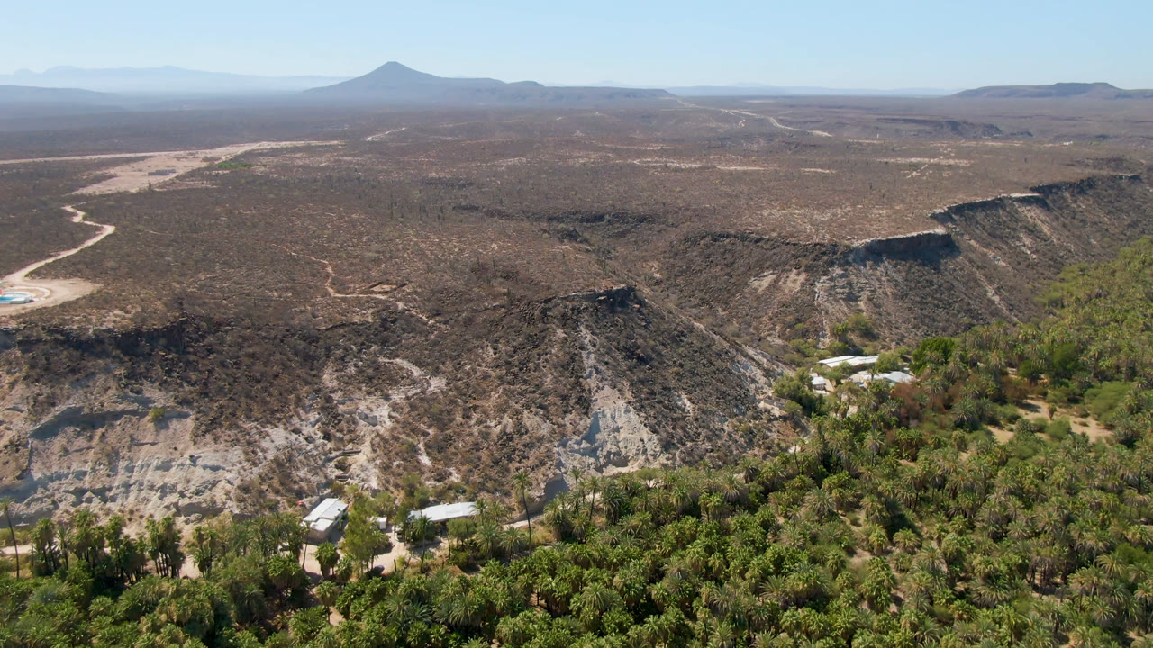 San Ignacio aerial frame with green palms in the lower foreground, pale ravine walls through the midground, desert flats, a pointed distant mountain, and no visible people.